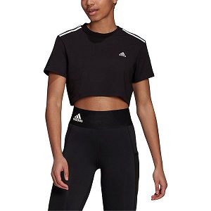 Black Women's Adidas Cropped Short Sleeve T Shirts | 7953621-NK