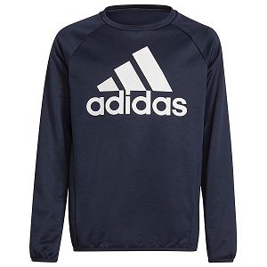 Blue Kids' Adidas Bl Sweatshirts | 1870256-NA