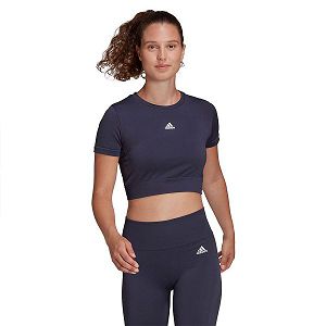 Blue Women's Adidas SML Fit Short Sleeve T Shirts | 3649175-JO