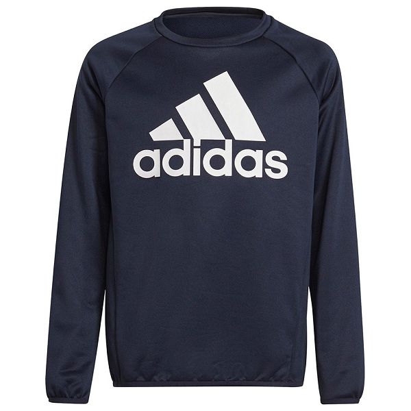 Blue Kids\' Adidas Bl Sweatshirts | 1870256-NA