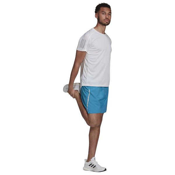 Blue Men's Adidas Saturday 9´´ Shorts Pants | 3270958-YZ