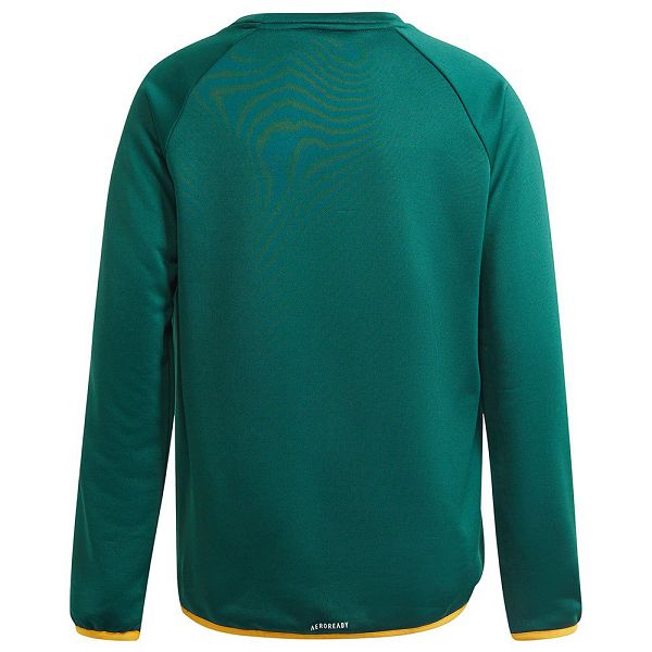 Green Kids' Adidas Bl Sweatshirts | 4910768-JQ