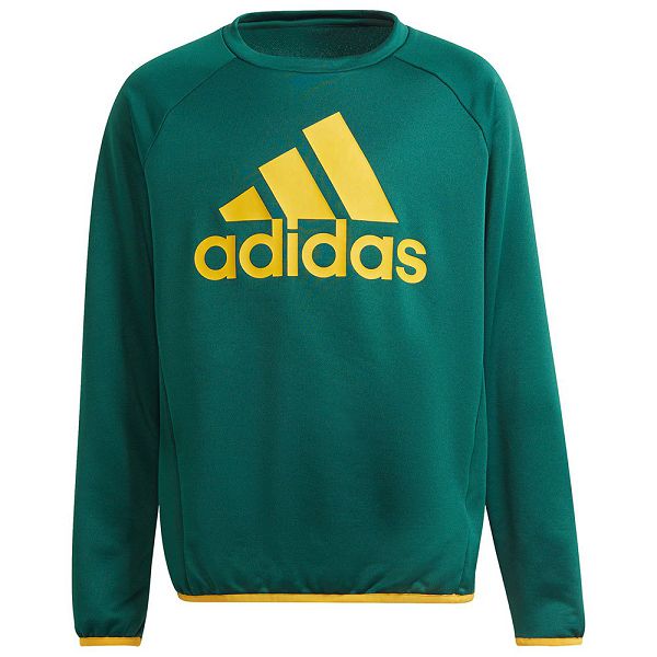 Green Kids\' Adidas Bl Sweatshirts | 4910768-JQ