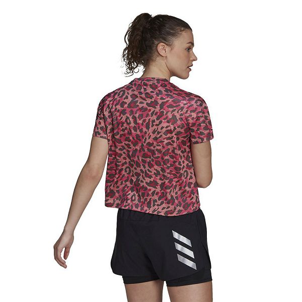 Pink Women's Adidas Fast Primeblue Graphic Short Sleeve T Shirts | 8162349-YX